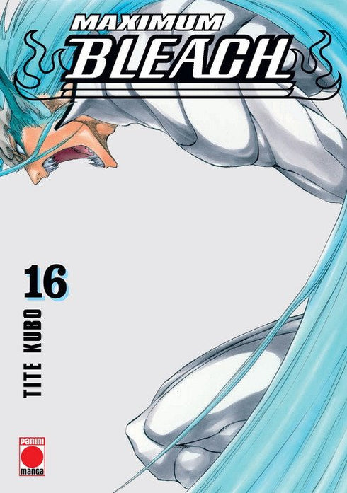 Bleach Maximum 16